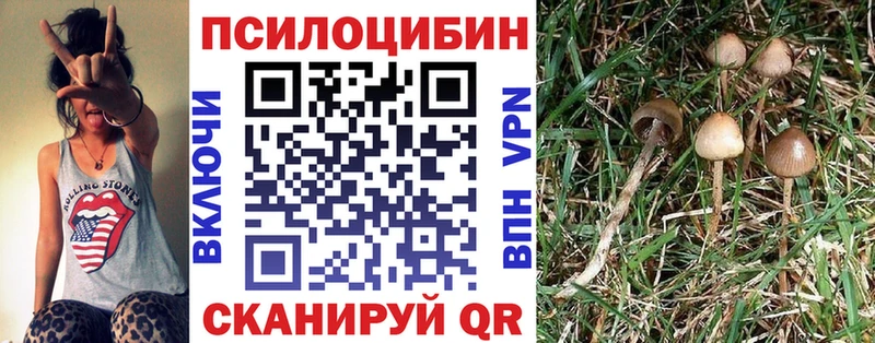 МЕГА как войти  Горбатов  Галлюциногенные грибы Cubensis 
