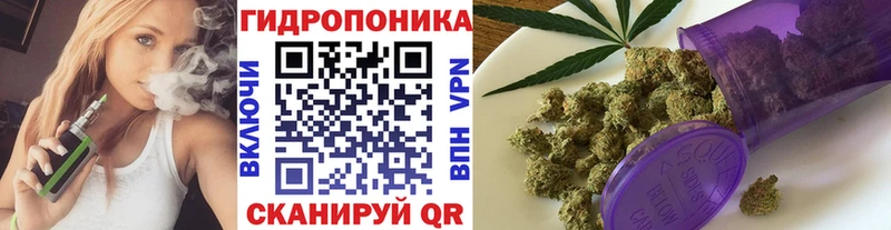 цена   Горбатов  Бошки марихуана ГИДРОПОН 